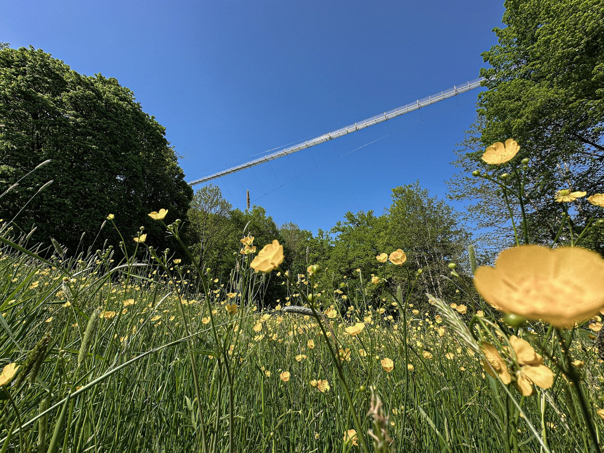 Highwalk Rotenburg