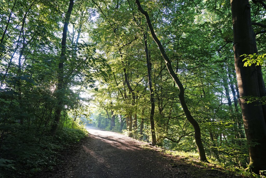 Im Rausch der Sinne - Eine Genusswanderung für Geist und Seele