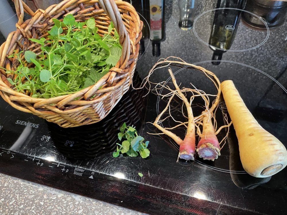 Wurzeln und Winterkräuter – gesund und heilsam